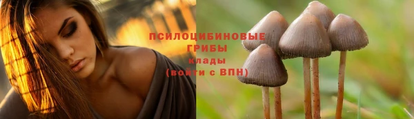 кокс Волосово