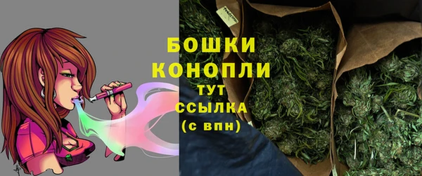 бошки Верхний Тагил
